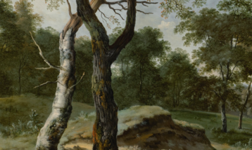 Mixed Art Forecaster Competition - February 2018 Mixed Art Forecaster Competition - February 2018